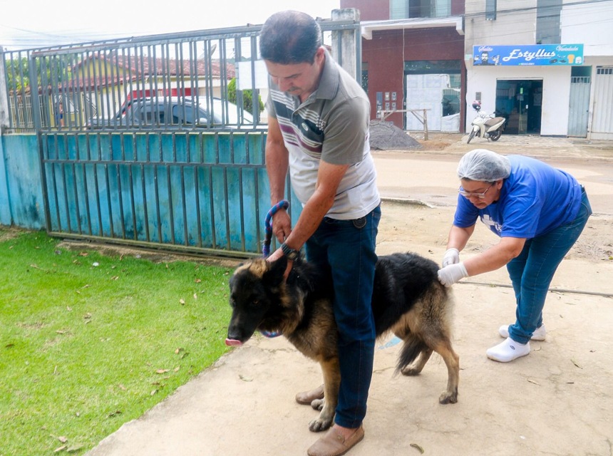 Prefeitura de Itabela promove Dia D da Vacinação Antirrábica para cães e gatos no dia 15 de agosto