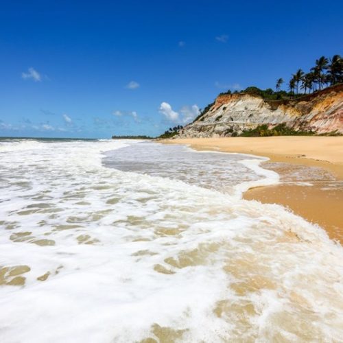 Bahia, terra de acolhimento e encanto